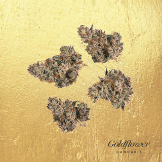 Cherry Noir - #2 Goldflower