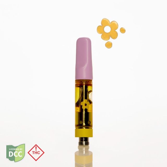 Dark Star Tangie  Edie Parker