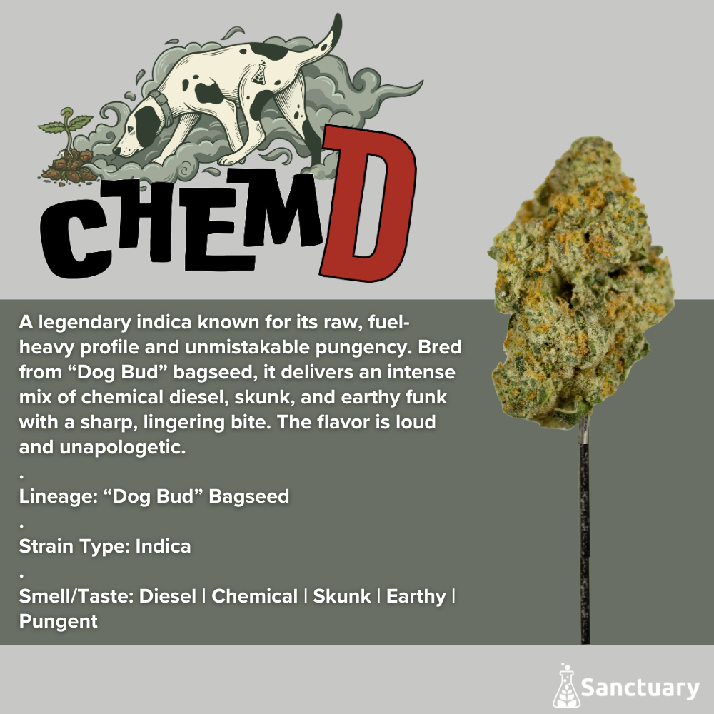 Chem D
