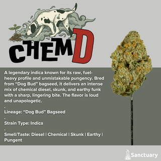 Chem D Sanctuary
