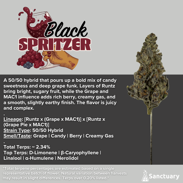 Black Spritzer Sanctuary