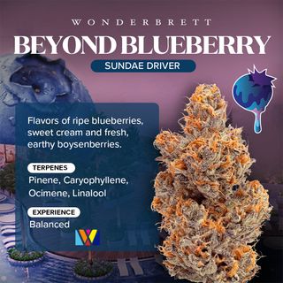 Pineapple Og 🍍 Wonderbrett