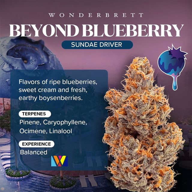 Beyond Blueberry Wonderbrett