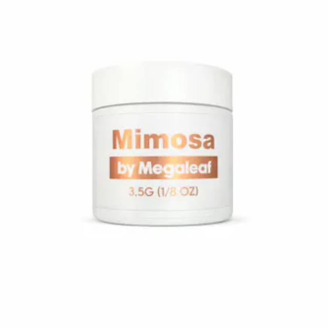 Mimosa Megaleaf