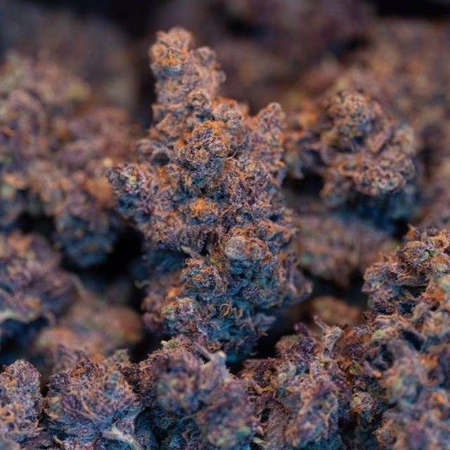 Roman's Candy Apple Roman Brothers Cannabis