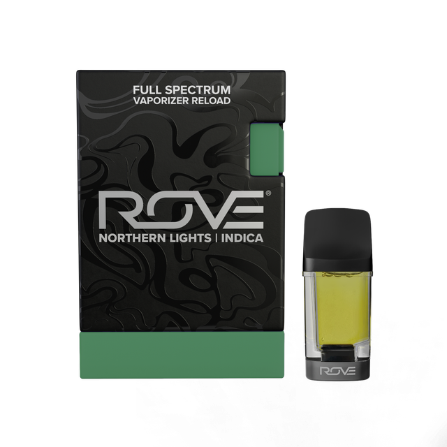 Northern Lights 💫 Rove