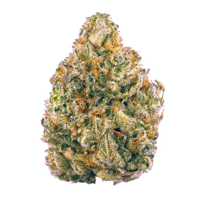 Super Sherb Roman Brothers Cannabis