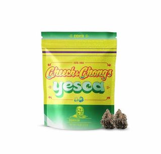 Yesca Guava Tart 3.5G Flower Cheech & Chong's