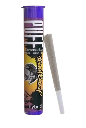 Headband Og Puff