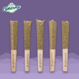 GMO Purps  CTPharma