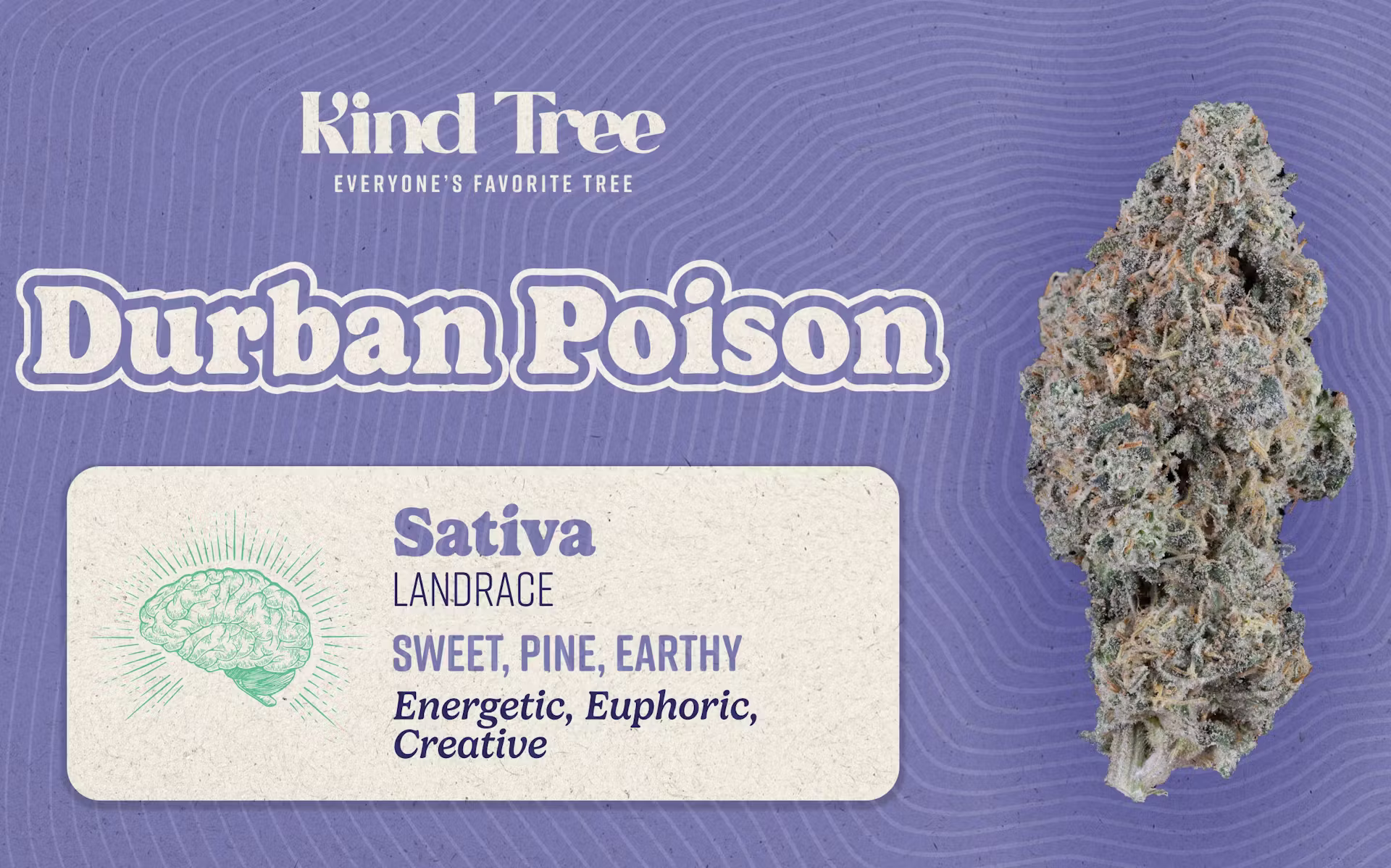Durban Poison Kind Tree