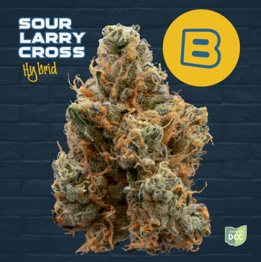 Sour Larry Cross Buckeye Relief