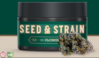 Phantom OG Seed & Strain