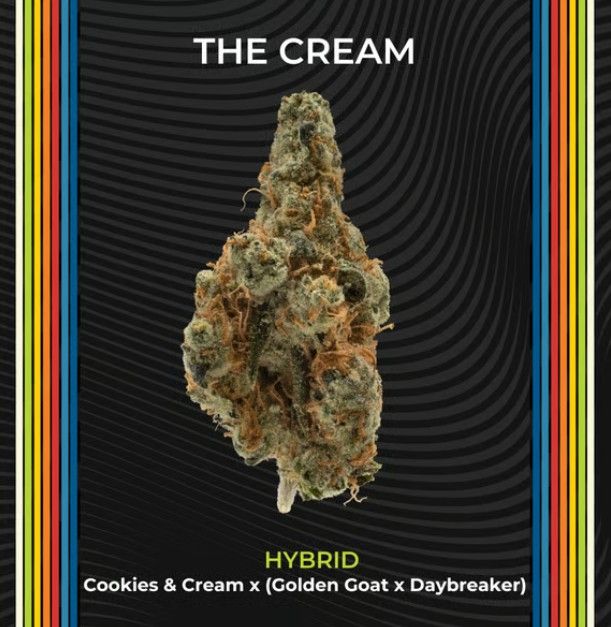 The Cream Certified