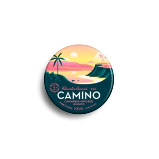 Watermelon Lemonade Fruit Camino