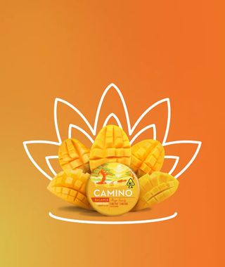KIVA Mango Serenity Camino