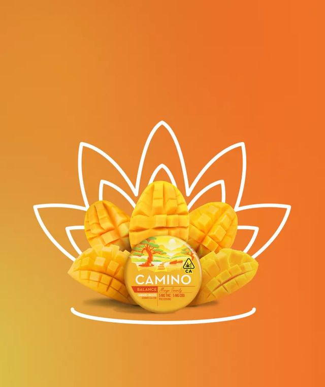 KIVA Mango Serenity Camino