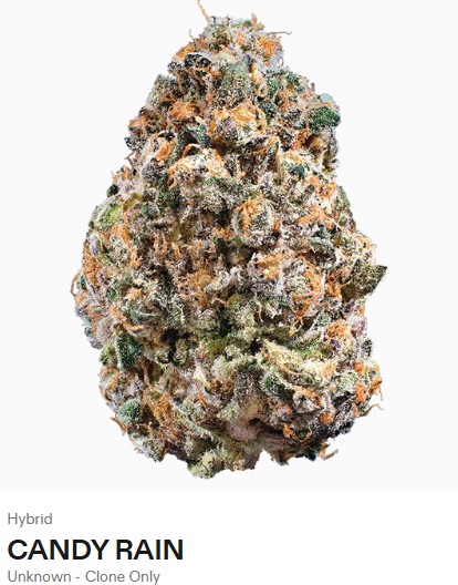 Candy Rain Woodward Fine Cannabis