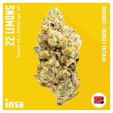 22 Lemons I.N.S.A. 22 Lemons I.N.S.A.