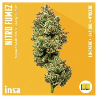 Nitro Fumez I.N.S.A.