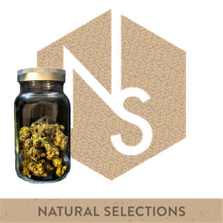 OGKB 2.1 Natural Selections