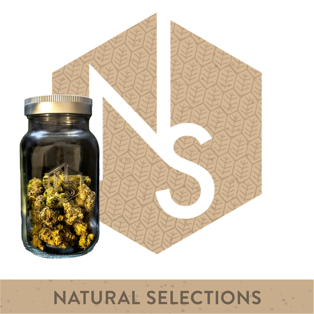 OGKB 2.1 Natural Selections