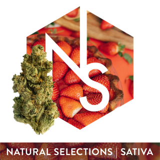 Strawberry Guava Natural Selections