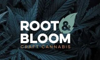 Cannabis Promo, Cannabis Sales, Cannabis Offers, Cannabis on Sale, Root & Bloom: All 14g flower for $75 1
