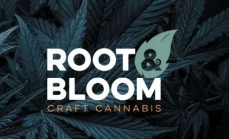 Cherry Pie OG Root & Bloom