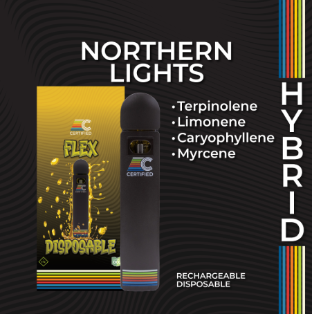 Northern Lights