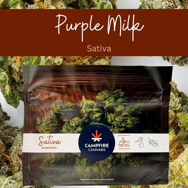 Purple Milk Campfire Cannabis