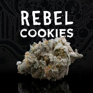 Rebel Cookies Rebel x Anthos