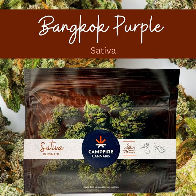 Bangkok Purple Campfire Cannabis