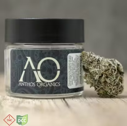 White Truffle Juniors Anthos