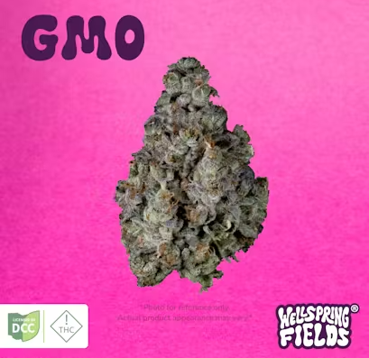 GMO