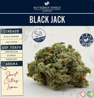 Black Jack Butterfly Effect