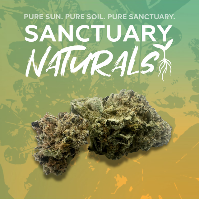 Mac V2 Sanctuary Cannabis Mac V2 Sanctuary Cannabis