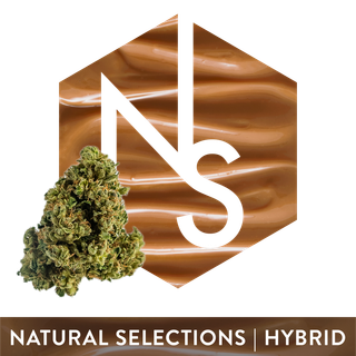Dulce De Uva Natural Selections