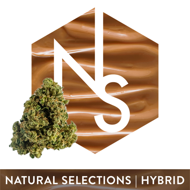 Dulce De Uva Natural Selections