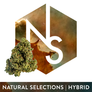 Intergalactic Natural Selections