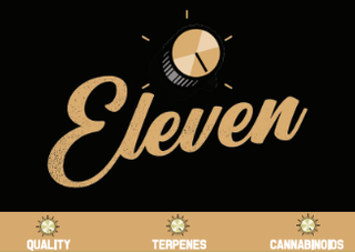 Branded 1 ¼" With Tips Eleven