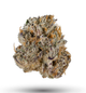 Larry Burnz Good Chemistry Nurseries Larry Burnz Good Chemistry Nurseries