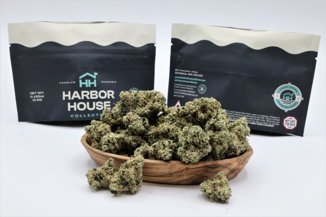 TKO Harbor House Collective