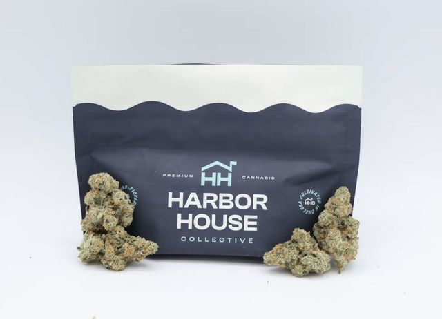 Cap Junky Harbor House Collective