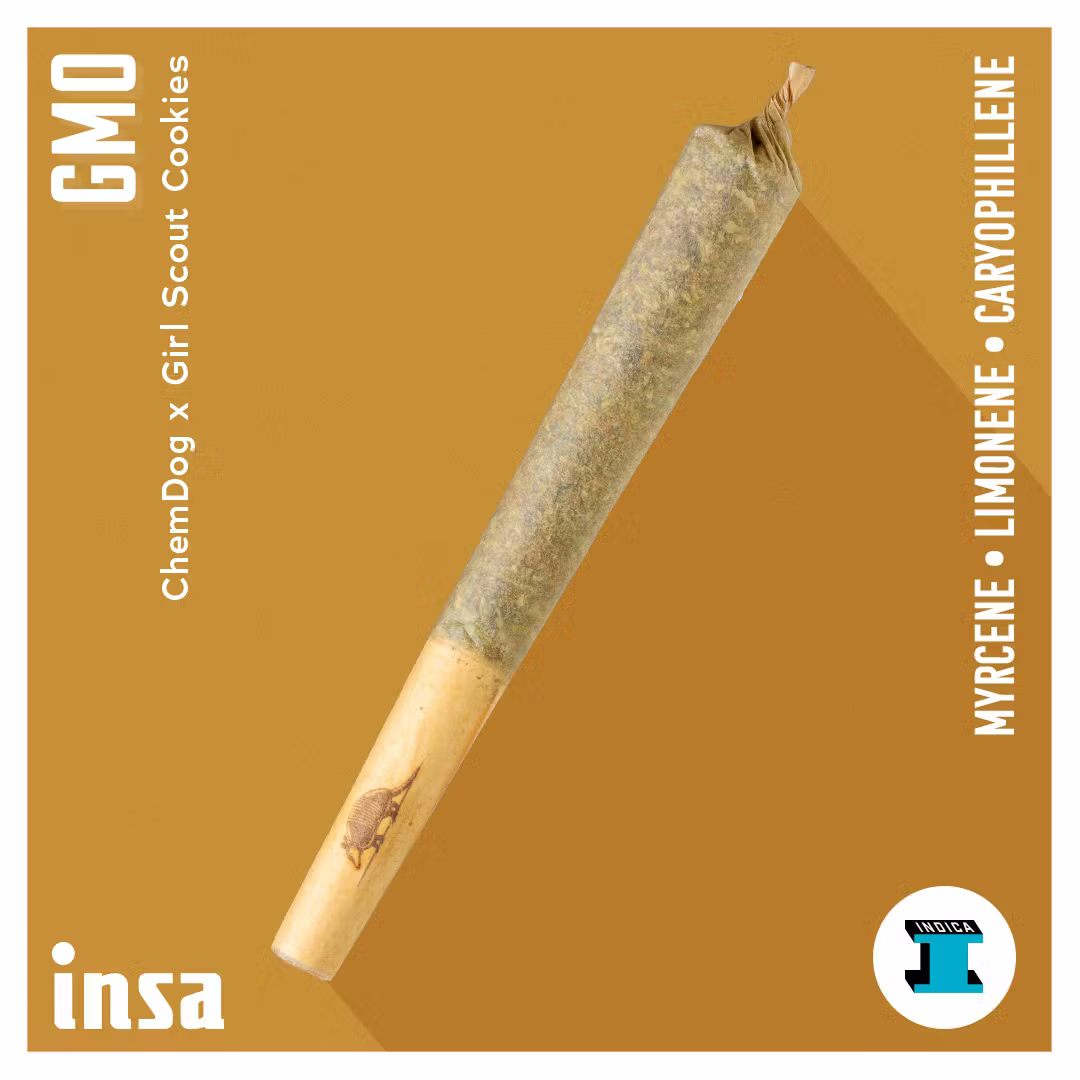 GMO Insa