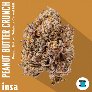 Peanut Butter Crunch Insa