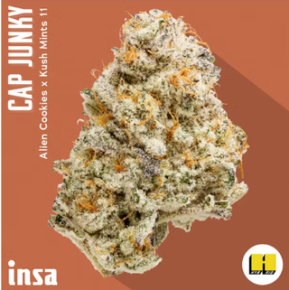 Cannabis Promo, Cannabis Sales, Cannabis Offers, Cannabis on Sale, INSA: All 3.5g Flower $20 2