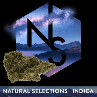 Garlic Drip Natural Selections