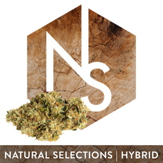 Cannabis Promo, Cannabis Sales, Cannabis Offers, Cannabis on Sale, Natural Selections: Four 3.5g Flower for $90 3