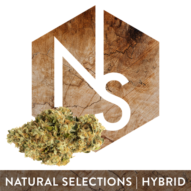 Cranberry Z Natural Selections